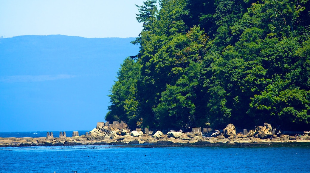 Clallam Bay which includes general coastal views