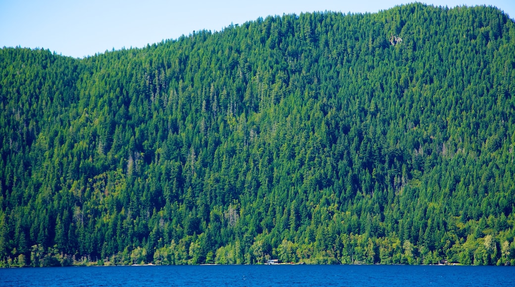 Parque Nacional Olympic que incluye un lago o abrevadero, escenas tranquilas y bosques