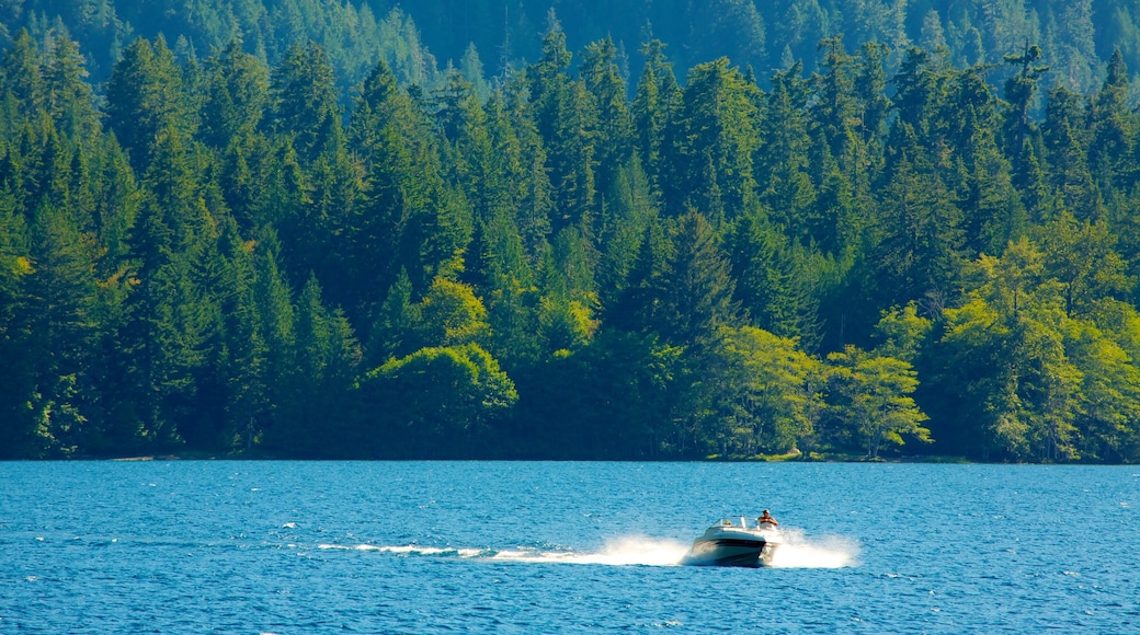 Washington ofreciendo paseos en lancha, un lago o abrevadero y vistas de paisajes