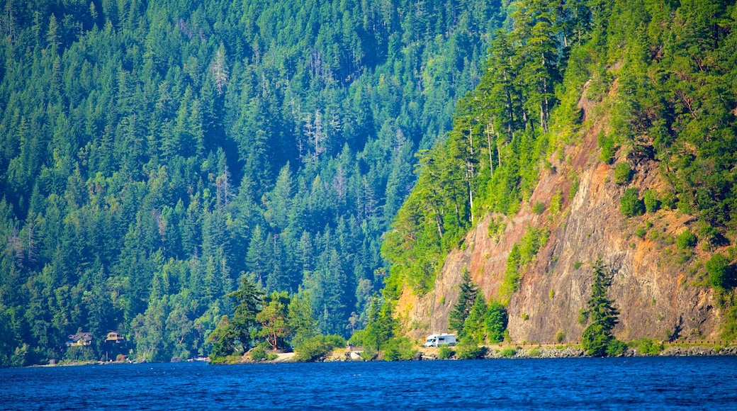 Olympic National Park que inclui florestas e um lago ou charco