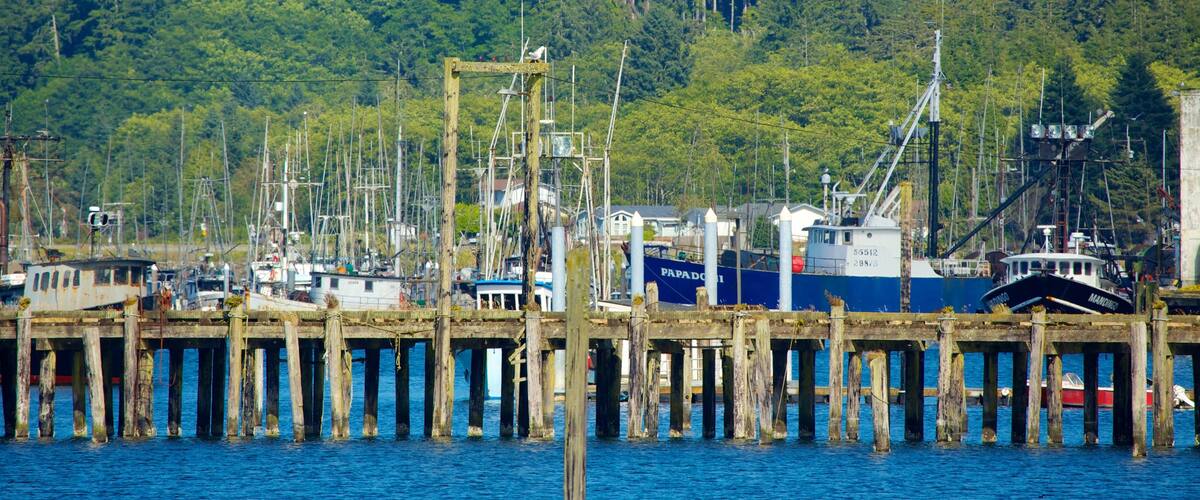 Neah Bay ofreciendo paseos en lancha, una marina y una bahía o puerto