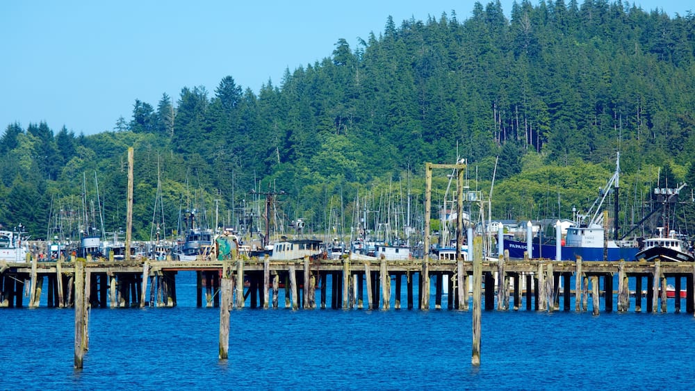 Neah Bay mit einem Bucht oder Hafen, Bootfahren und Marina