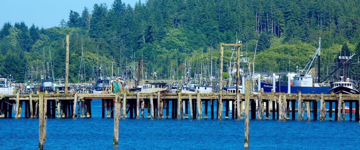 Neah Bay which includes boating, a bay or harbour and a marina