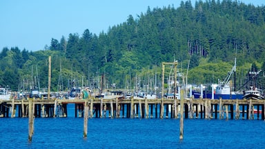 Neah Bay som inkluderer bukt eller havn, båter og marina