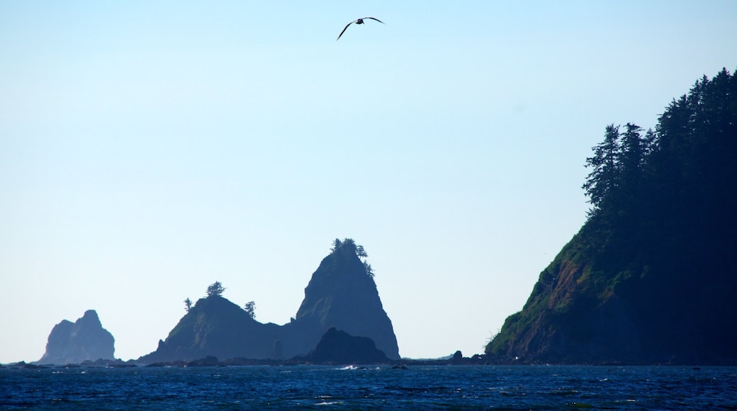 Rialto Beach showing rocky coastline, landscape views and mountains