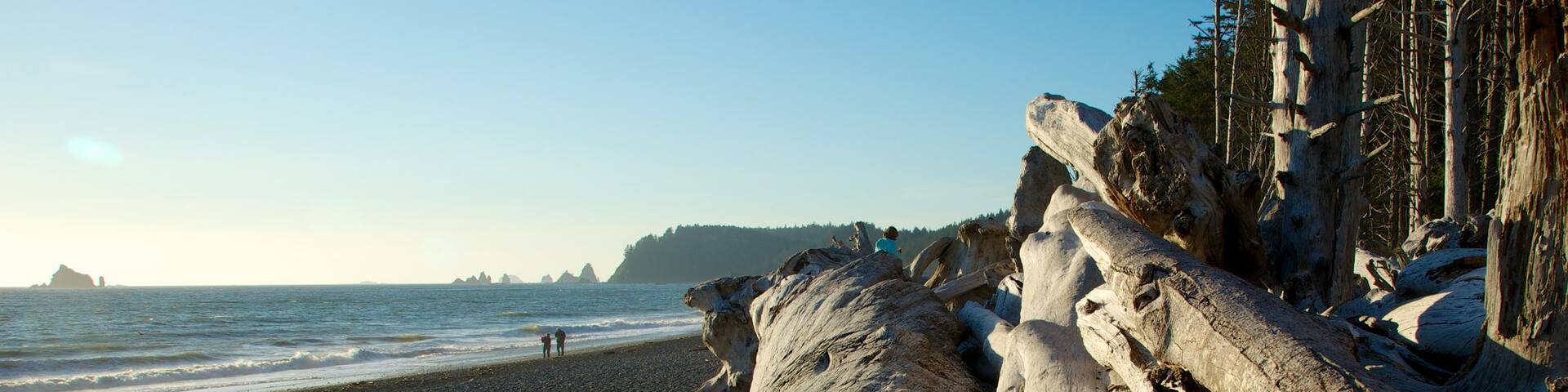 Rialto Beach which includes a pebble beach, general coastal views and landscape views