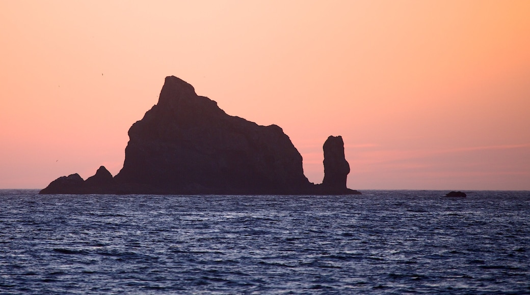 Rialto Beach which includes rocky coastline, general coastal views and island views