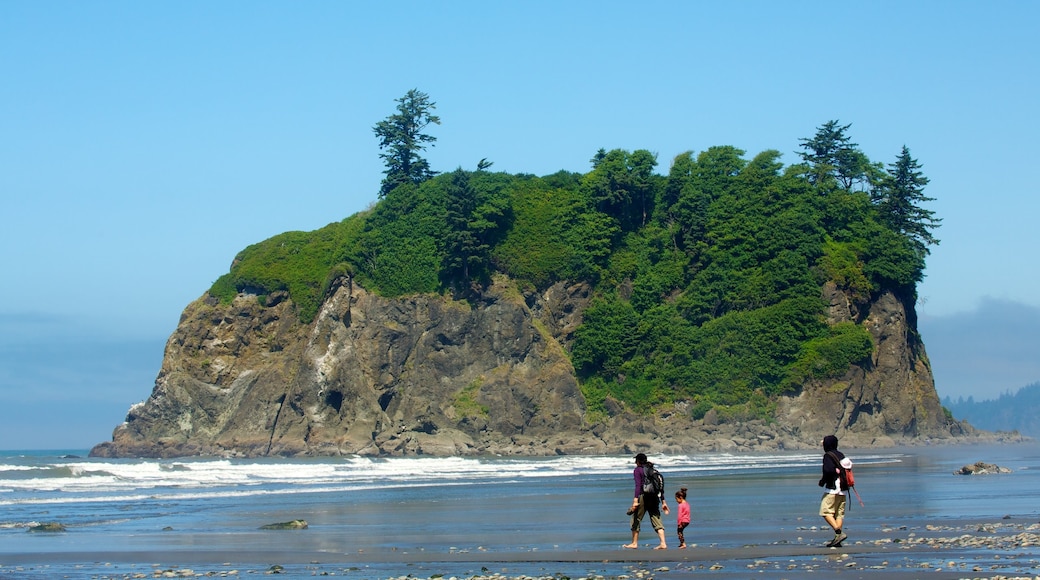 Playa de Ruby que incluye vistas generales de la costa y también una familia