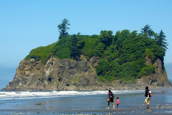 Ruby Beach featuring general coastal views as well as a family