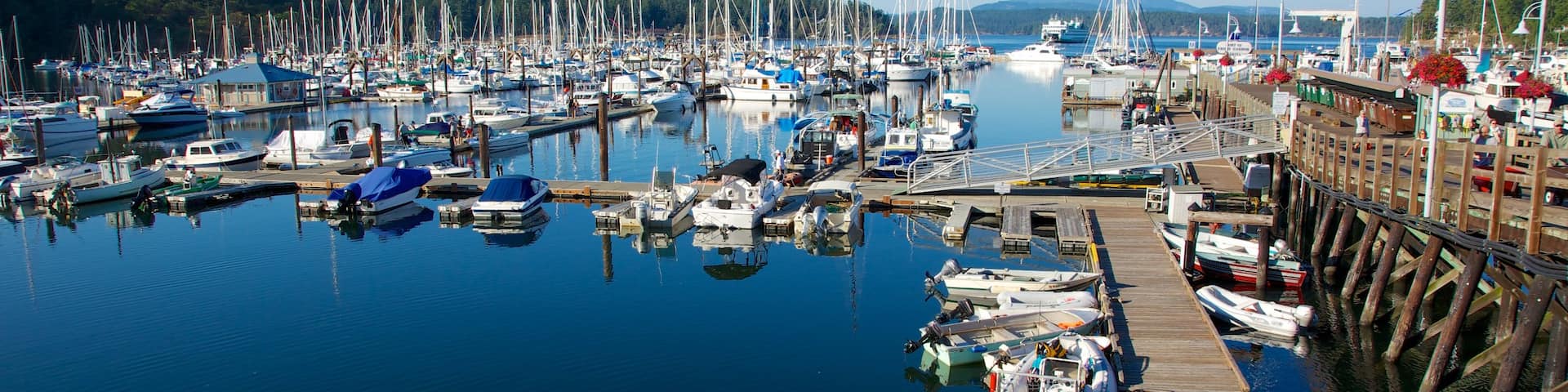 Friday Harbor, Washington, Estados Unidos