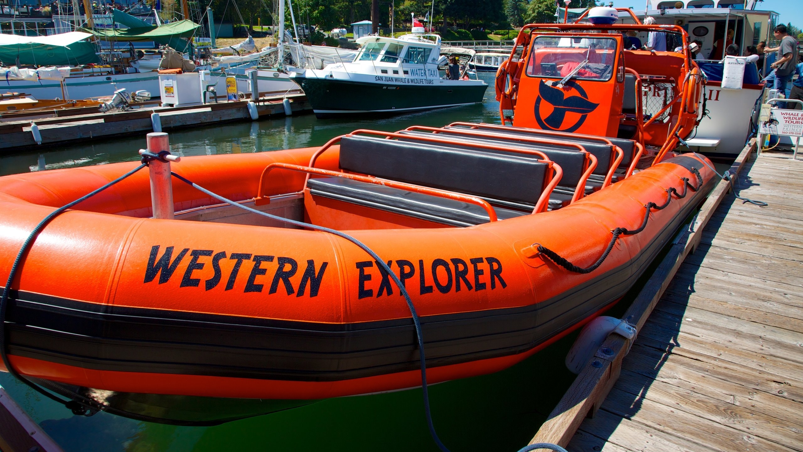 Friday Harbor showing signage, boating and a marina