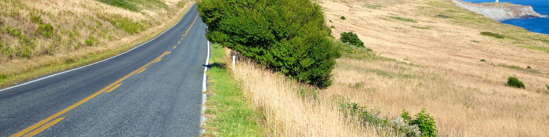 San Juan Island which includes general coastal views and tranquil scenes