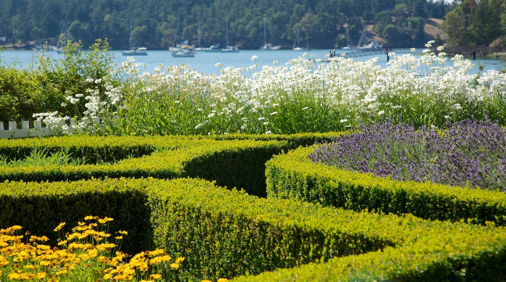 English Camp caracterizando flores e um jardim