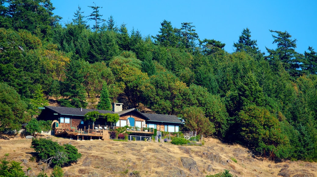 Lime Kiln Point State Park showing a house and forests