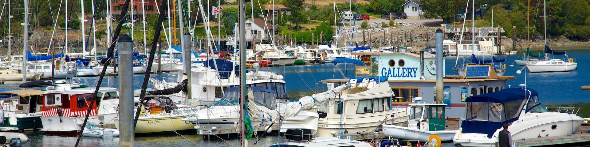 Deer Harbor montrant baie ou port, marina et voile