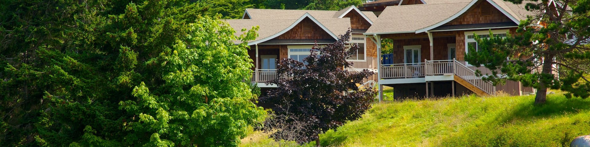 Deer Harbor showing a house and touring
