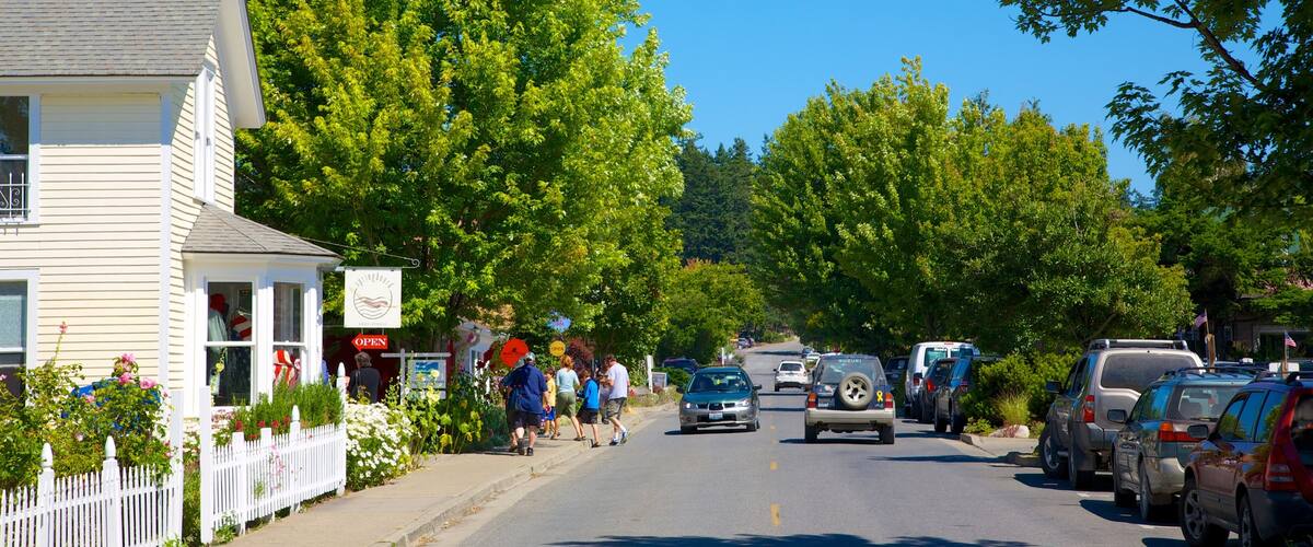 Orcas Island mit einem Straßenszenen