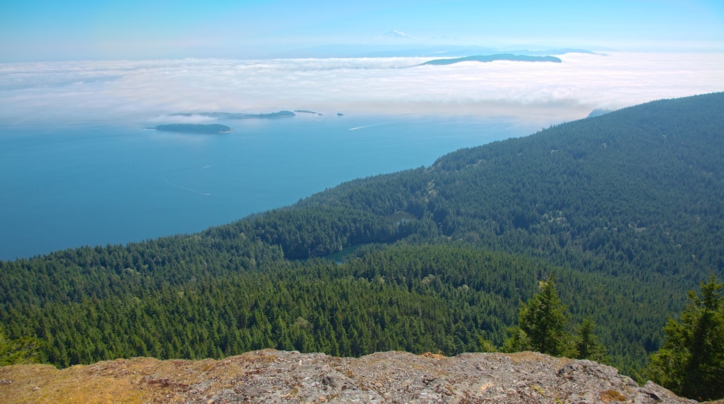 Isla Orcas que incluye montañas, vistas generales de la costa y vistas