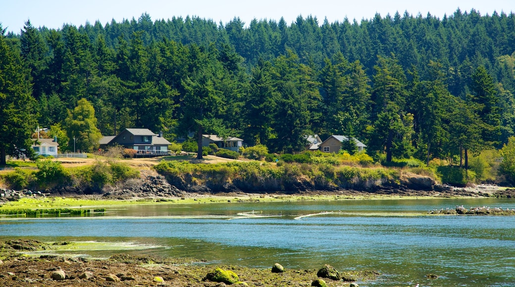 Orcas Island som visar skogslandskap, en å eller flod och landskap