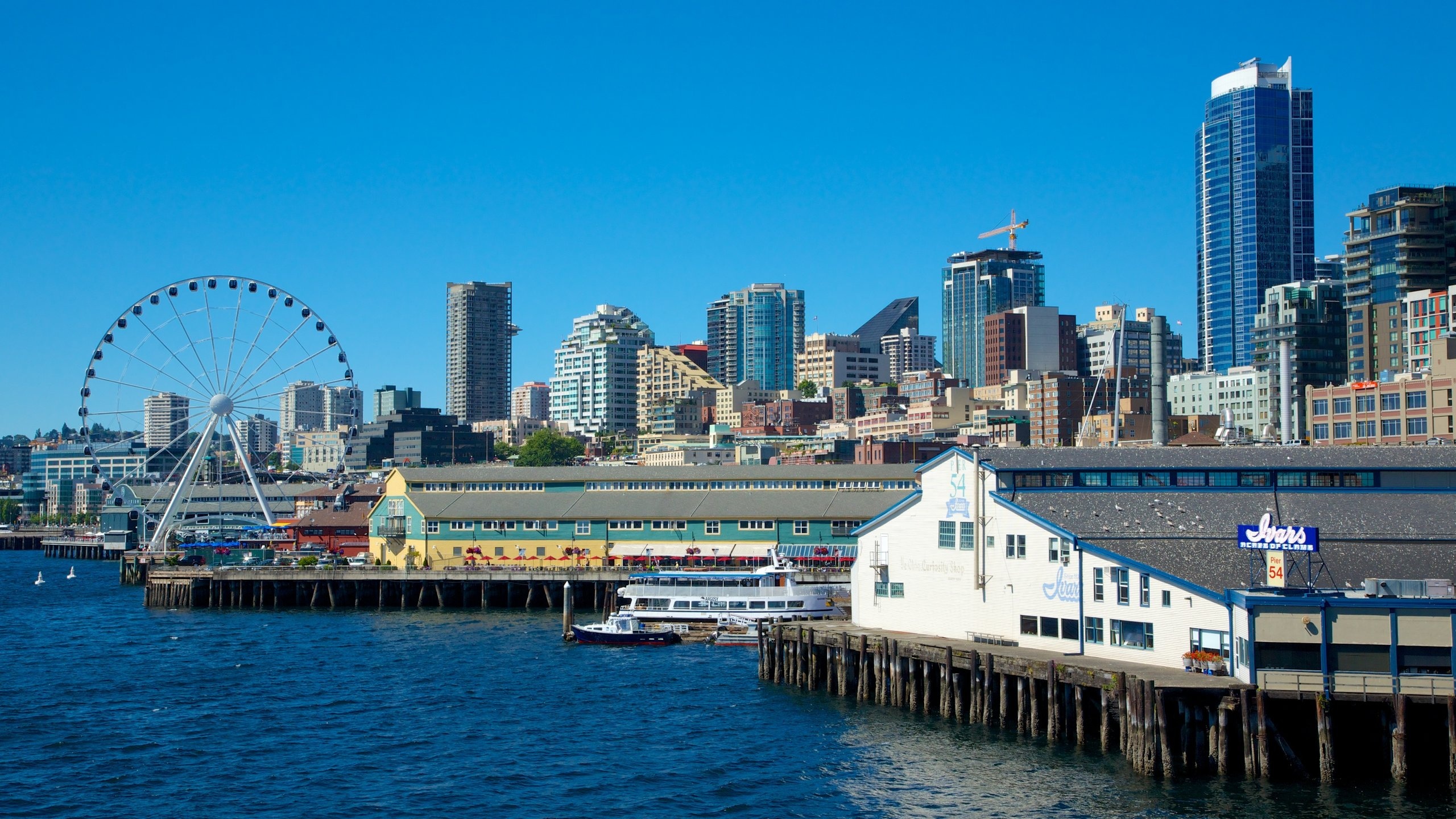 7 Things to Do and See in Seattle, Washington