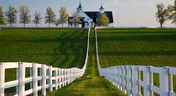 Lexington som visar stillsam natur och åkrar