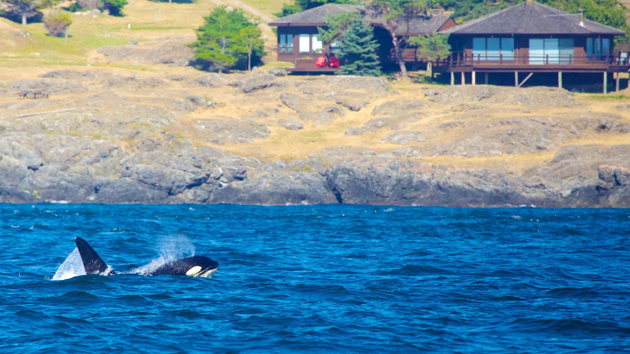 Orcas Island Travel Guide Best of Orcas Island, Washington Travel 2024 Expedia.co.uk