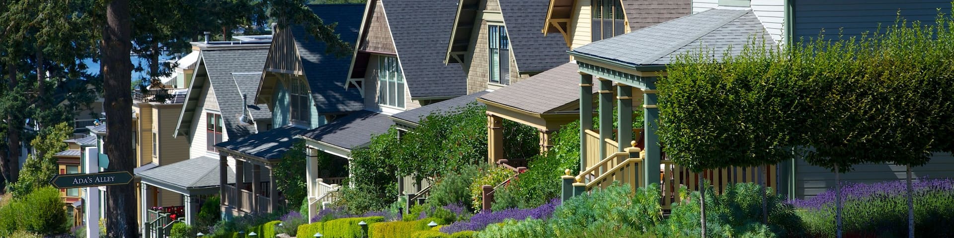 San Juan Island mostrando una pequeña ciudad o pueblo, escenas urbanas y una casa