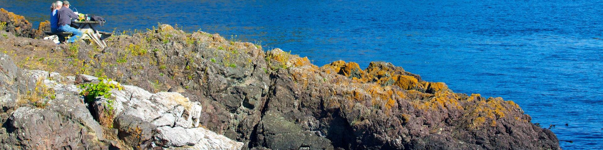 Lime Kiln Point State Park showing island images, tranquil scenes and general coastal views