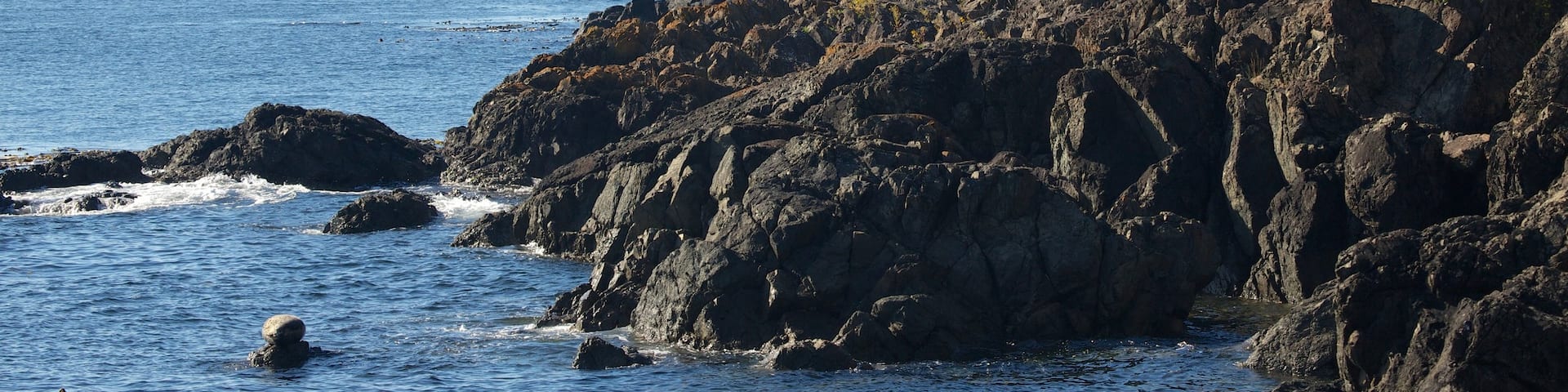 Lime Kiln Point State Park featuring heritage architecture, rocky coastline and a lighthouse