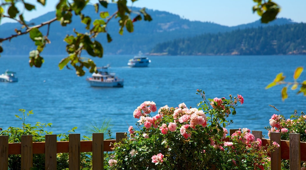 Orcas Island welches beinhaltet allgemeine Küstenansicht, Blumen und Bootfahren