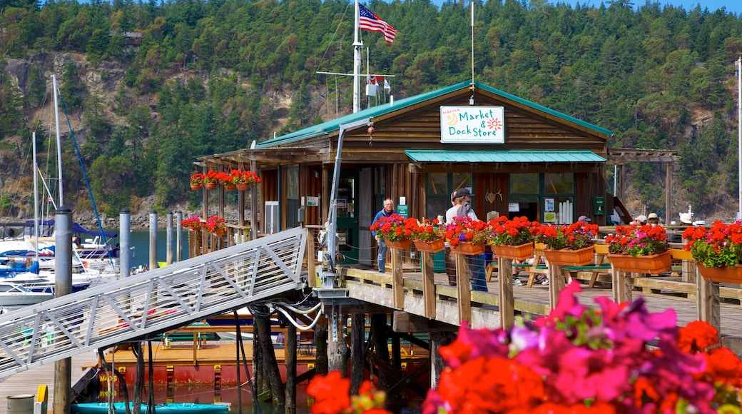 Deer Harbor mostrando flores, una marina y una ciudad costera