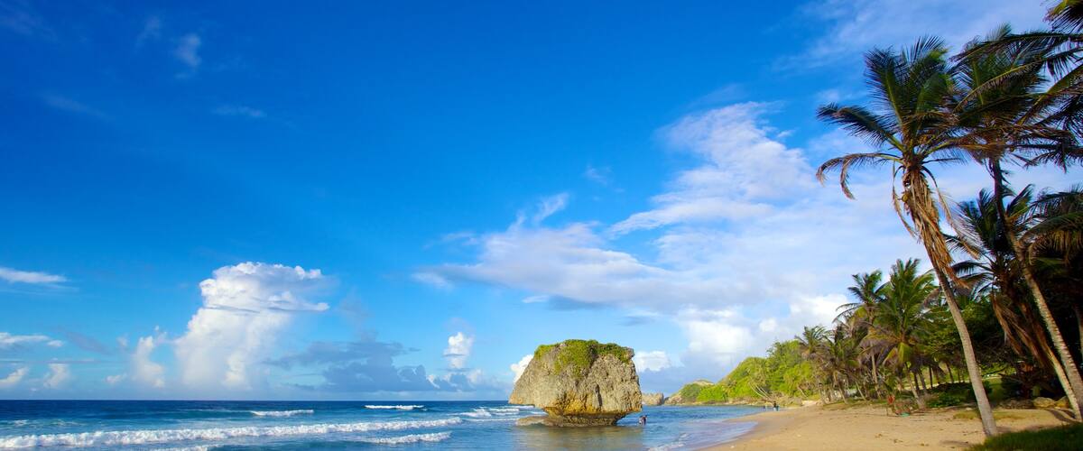 Bathsheba mettant en vedette plage de sable, scĂšnes tropicales et panoramas