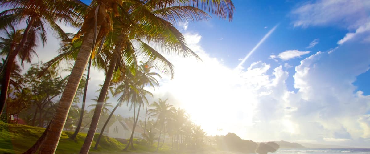 Bathsheba which includes landscape views, a beach and tropical scenes