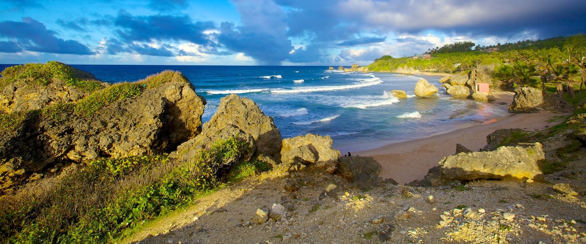 Bathsheba showing landscape views, tropical scenes and a beach