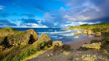 Bathsheba which includes tropical scenes, landscape views and a beach