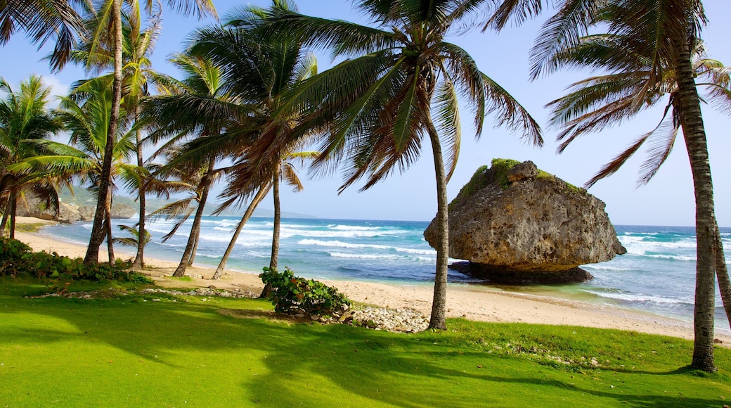 Bathsheba mostrando escenas tropicales, una playa y costa escarpada