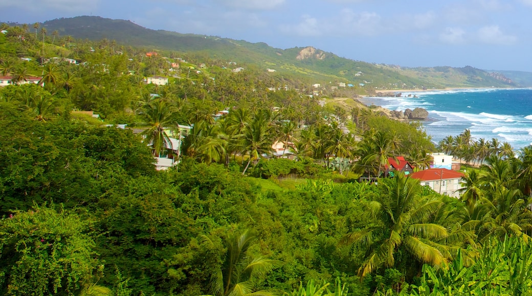 Bathsheba ofreciendo una ciudad costera, vista panorámica y vista general a la costa