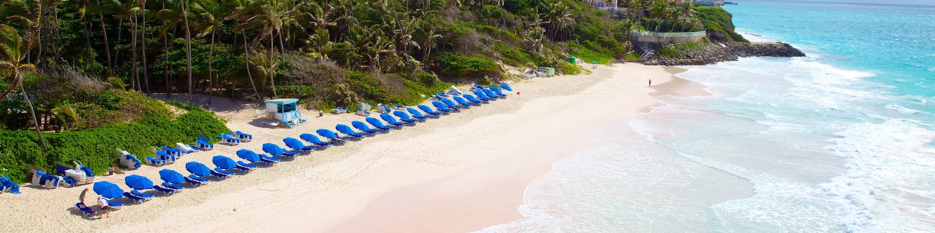 Playa Crane que incluye vistas de paisajes, una playa de arena y escenas tropicales