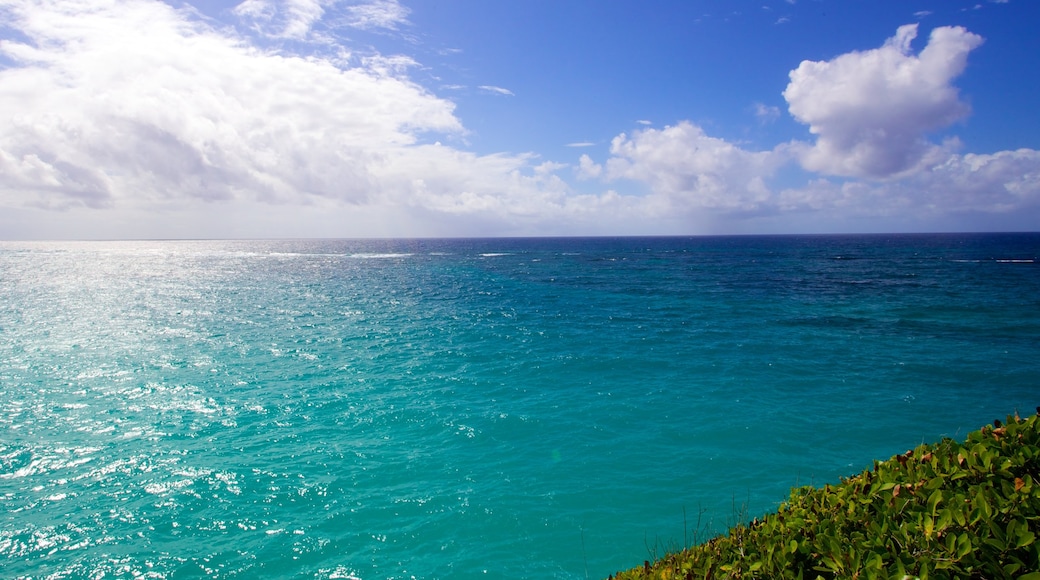 Crane Beach which includes general coastal views and landscape views