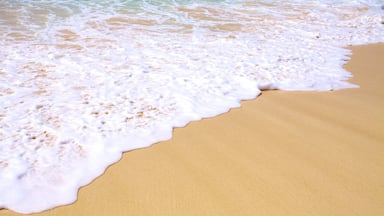 Crane Beach showing landscape views and a sandy beach