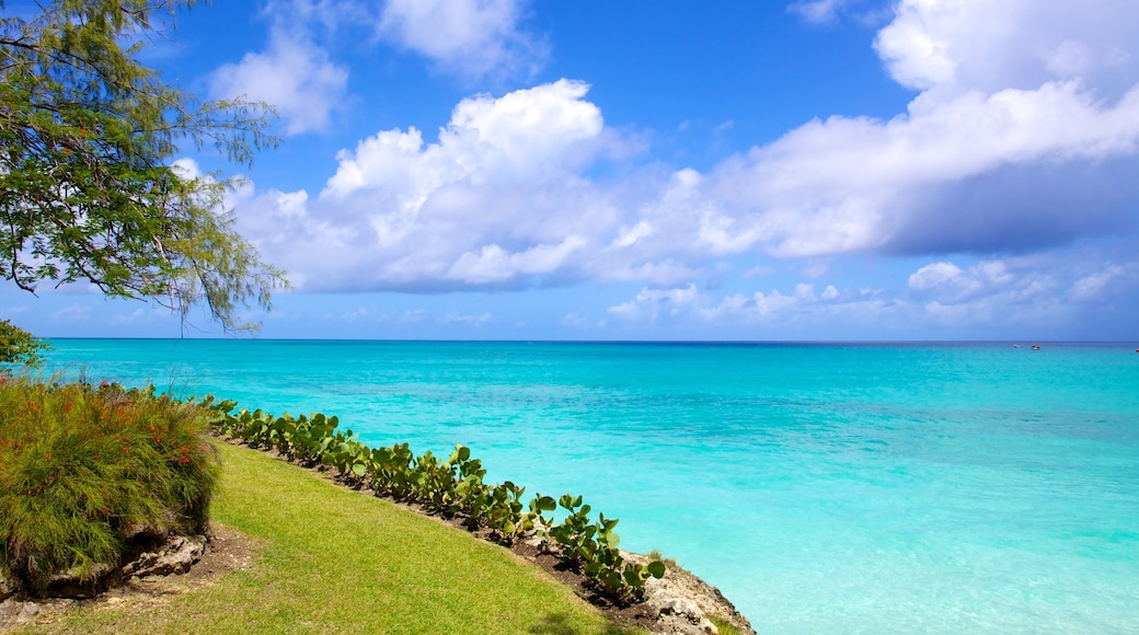 Miami Beach mit einem tropische Szenerien, allgemeine Küstenansicht und Landschaften