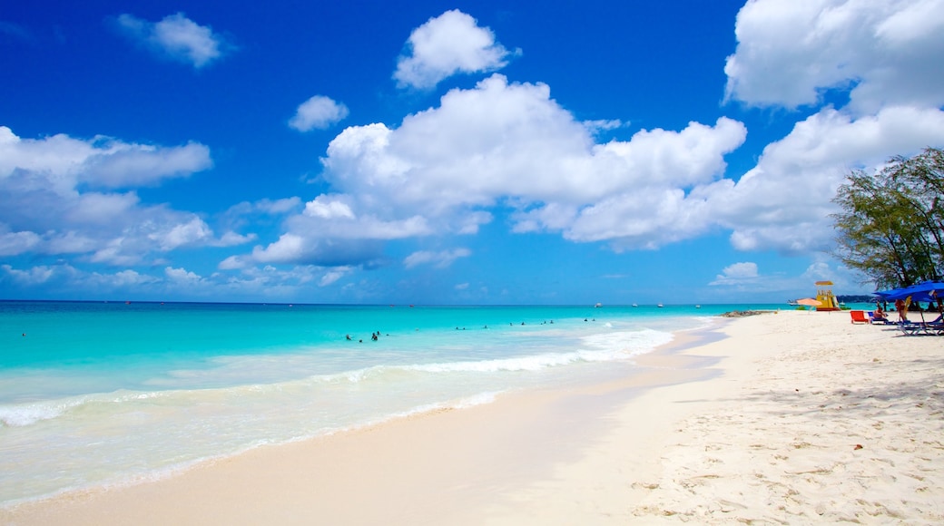 Miami Beach featuring landscape views, a beach and tropical scenes