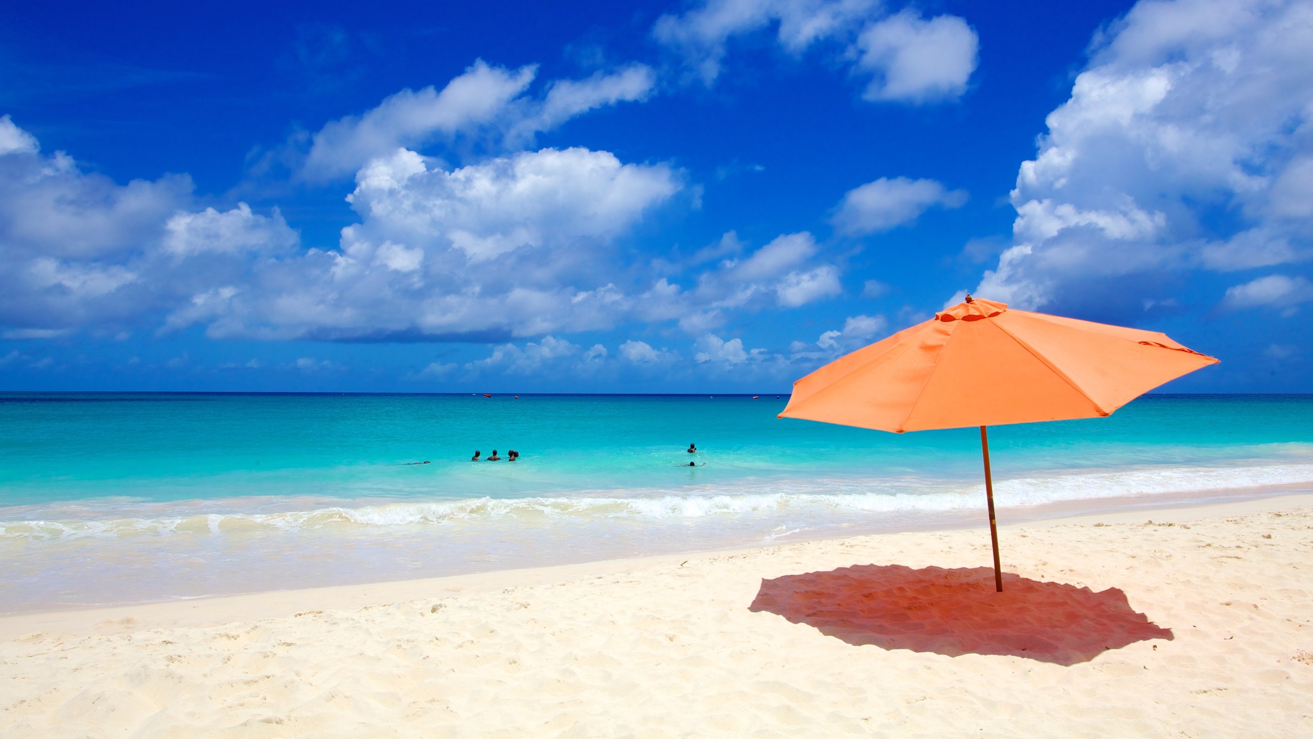 Miami Beach inclusief een strand en landschappen