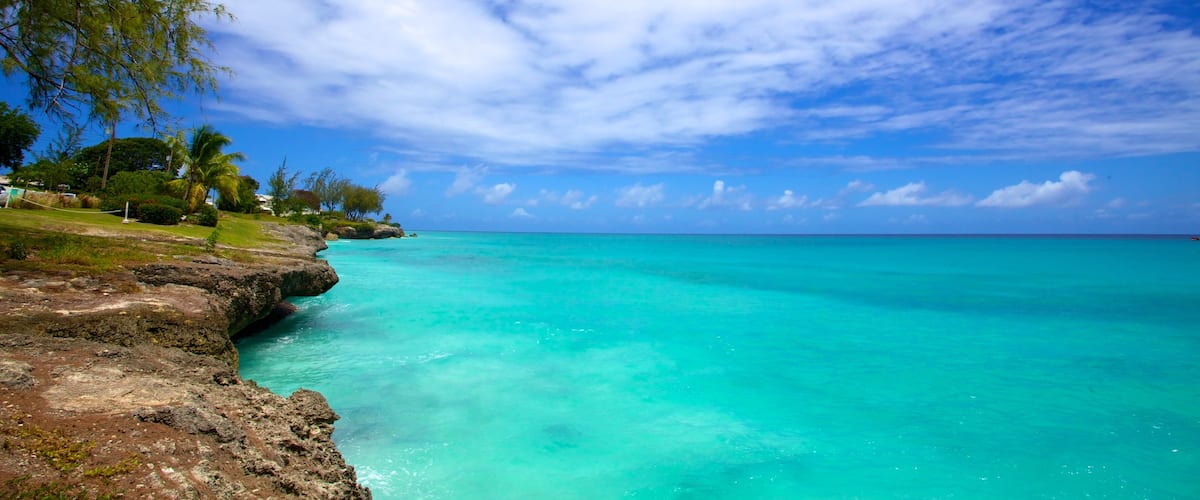 Miami Beach which includes rocky coastline, tropical scenes and landscape views