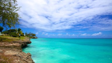 Miami Beach featuring landscape views, tropical scenes and rocky coastline