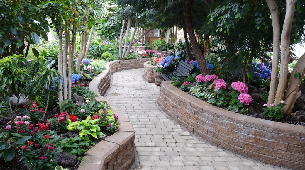 Photo provided by Regina Floral Conservatory