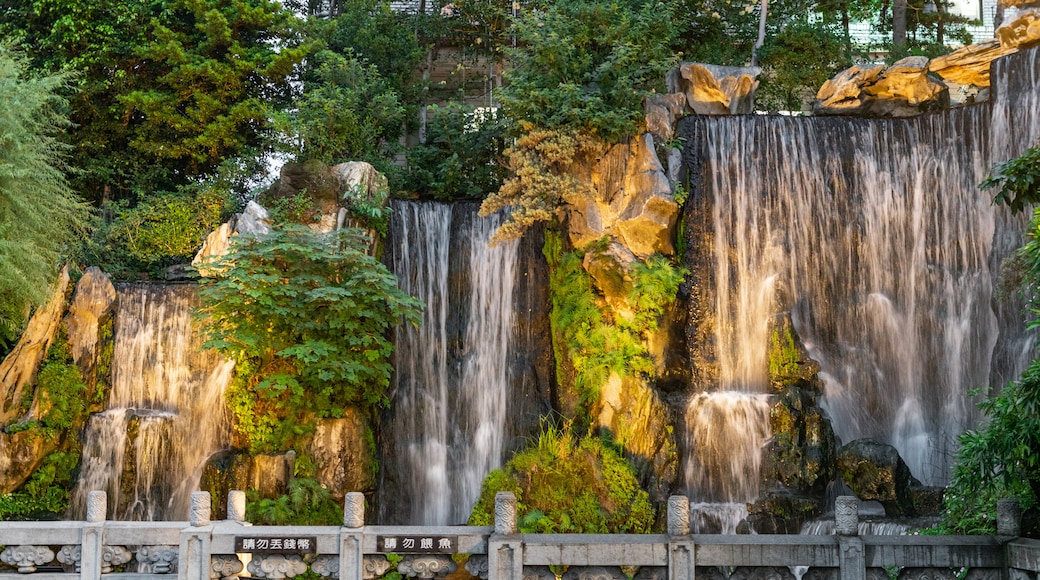 Lungshan Temple showing a cascade