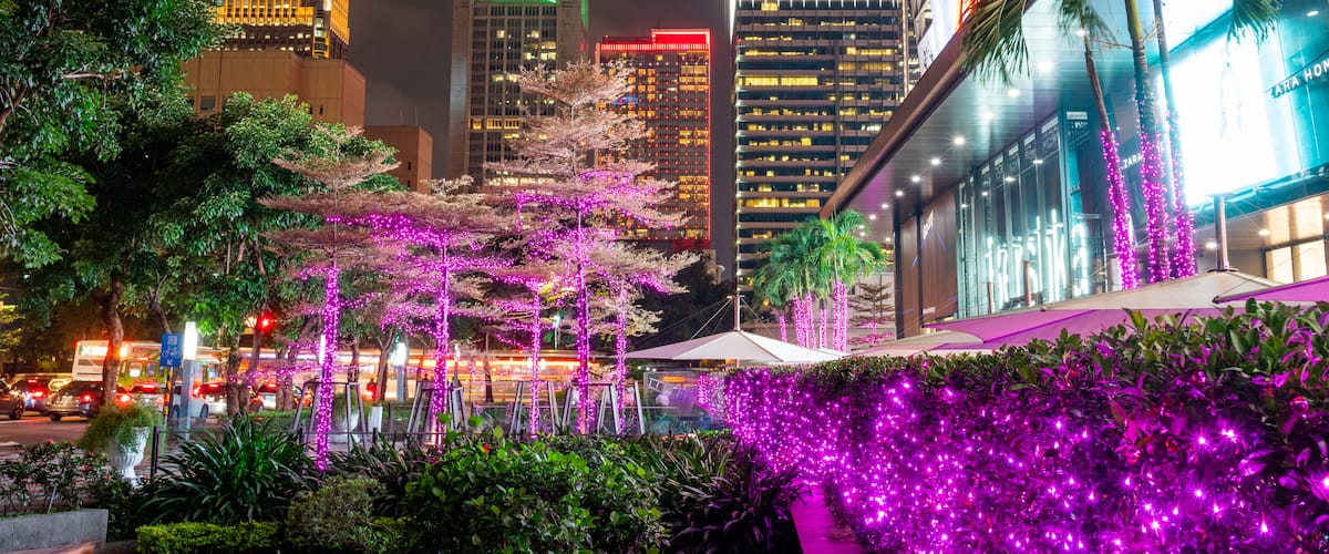 Xinyi featuring a park, night scenes and a city