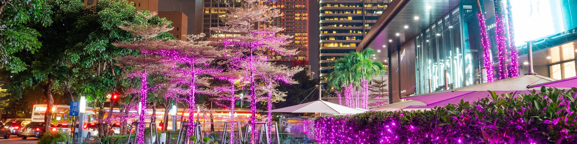 Xinyi featuring a park, night scenes and a city