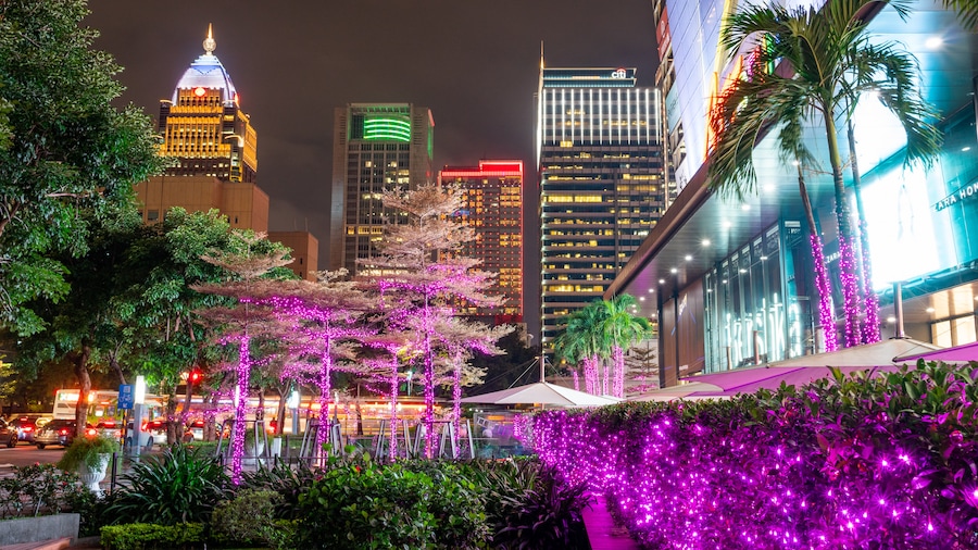 Xinyi featuring a park, night scenes and a city